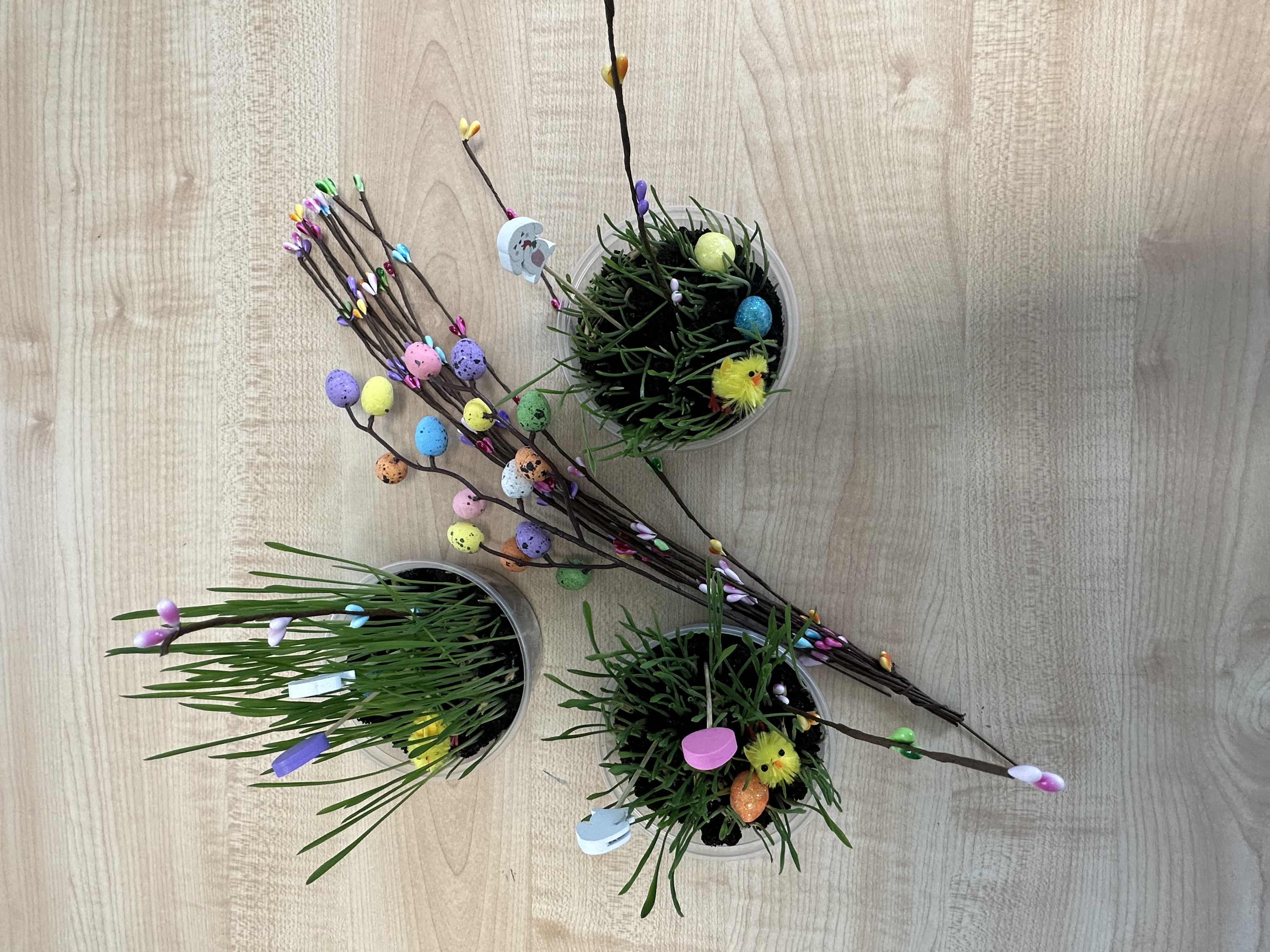 Sianie owsa w świetlicy